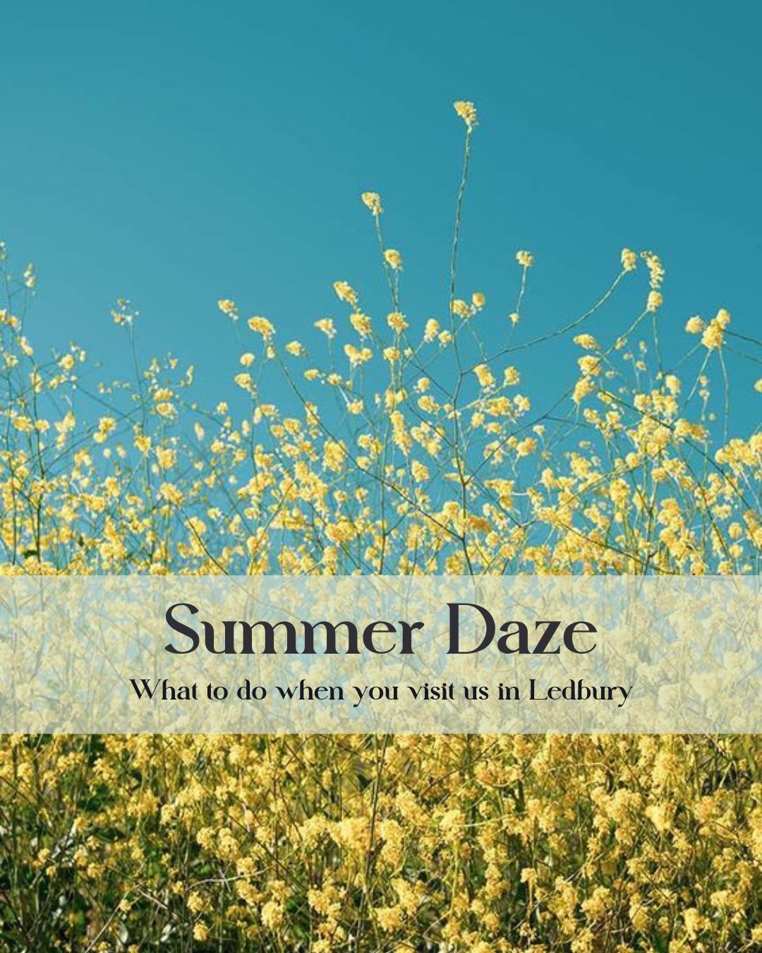 Summer Daze
