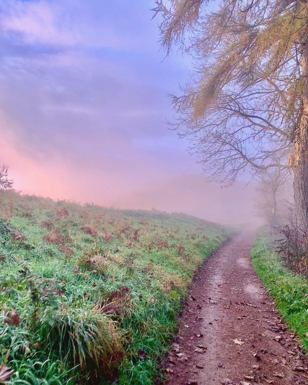 Walking my way through lockdown 3.0