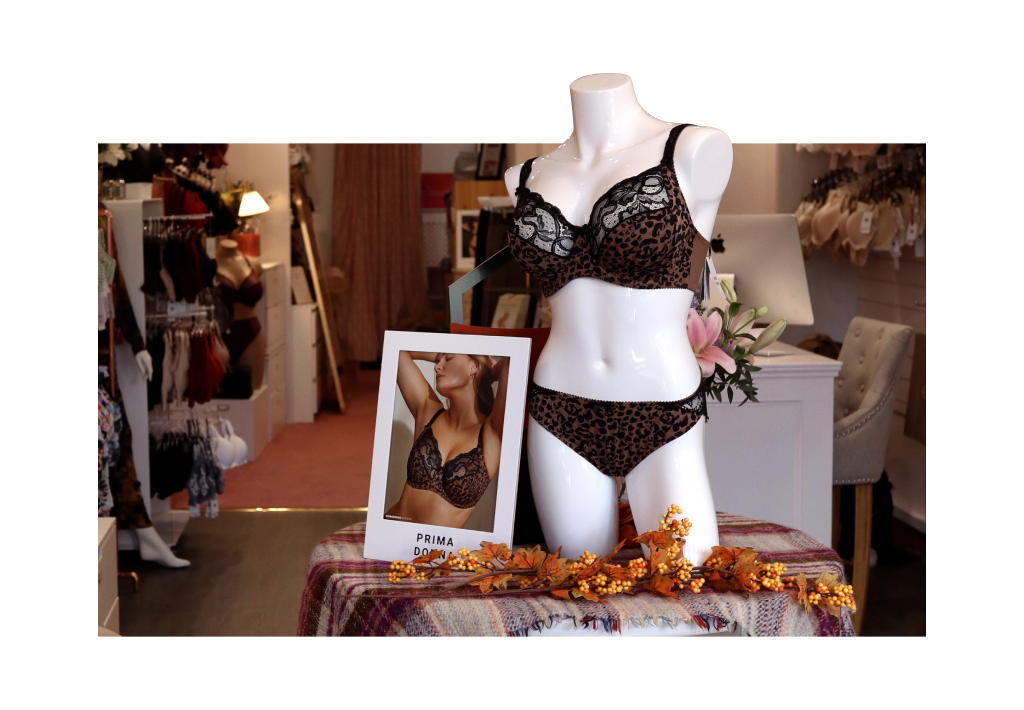 mannequin modelling black underwear on a display in the Ledbury bra boudoir store